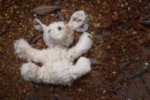 A stuffed animal lying in dirt