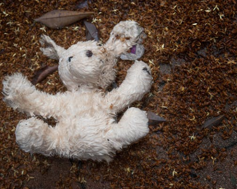 A stuffed animal lying in dirt