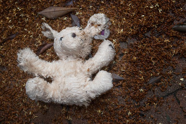 A stuffed animal lying in dirt